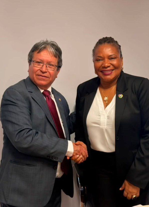 Presidente da Câmara de Comércio El Salvador–Brasil visita Ministra Margareth Menezes em Brasília